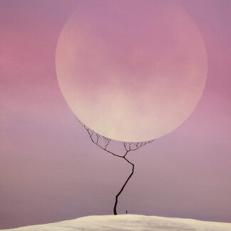 Wojciech Muda / Munke - Spotkanie