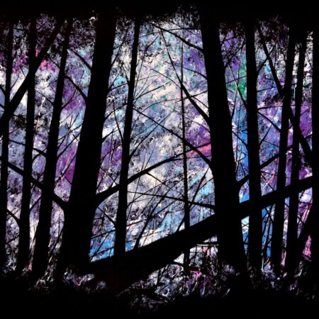 Piotr Piskorz "Frozen forest"