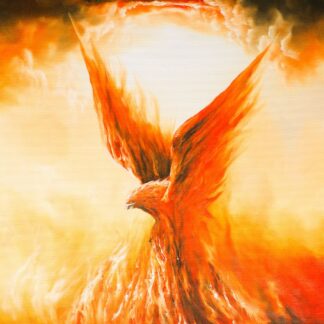 Adam Burczyc - Phoenix